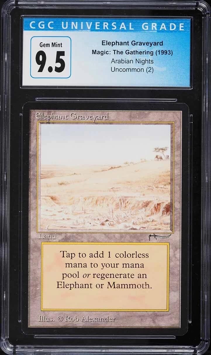 Elephant Graveyard