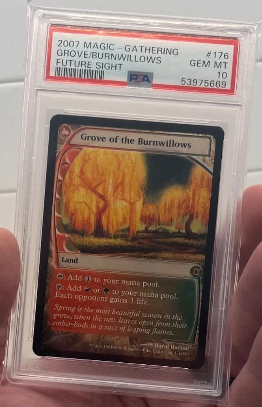 Grove Of The Burnwillows