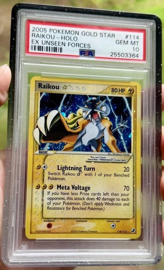 Raikou