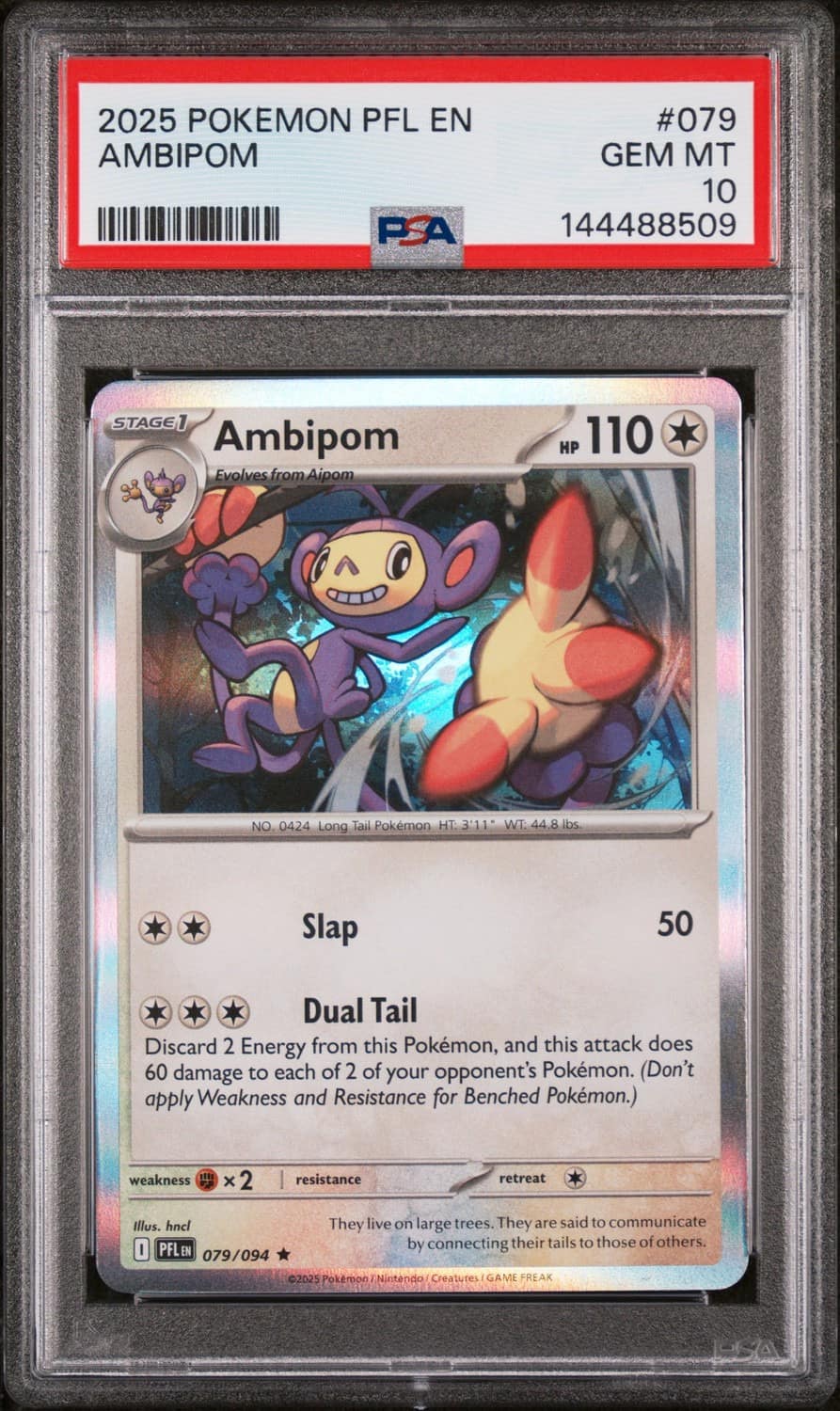 Ambipom