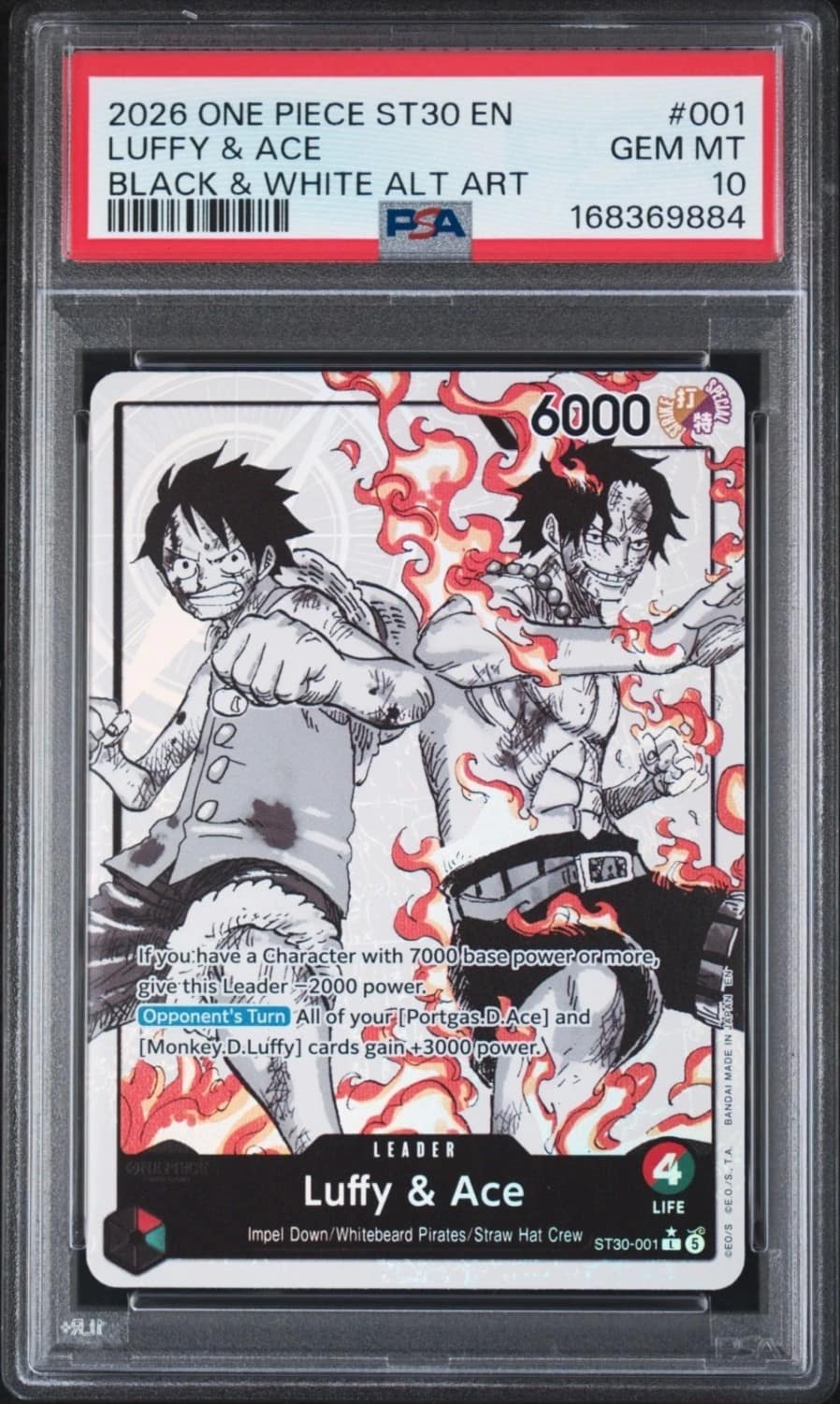 Luffy & Ace