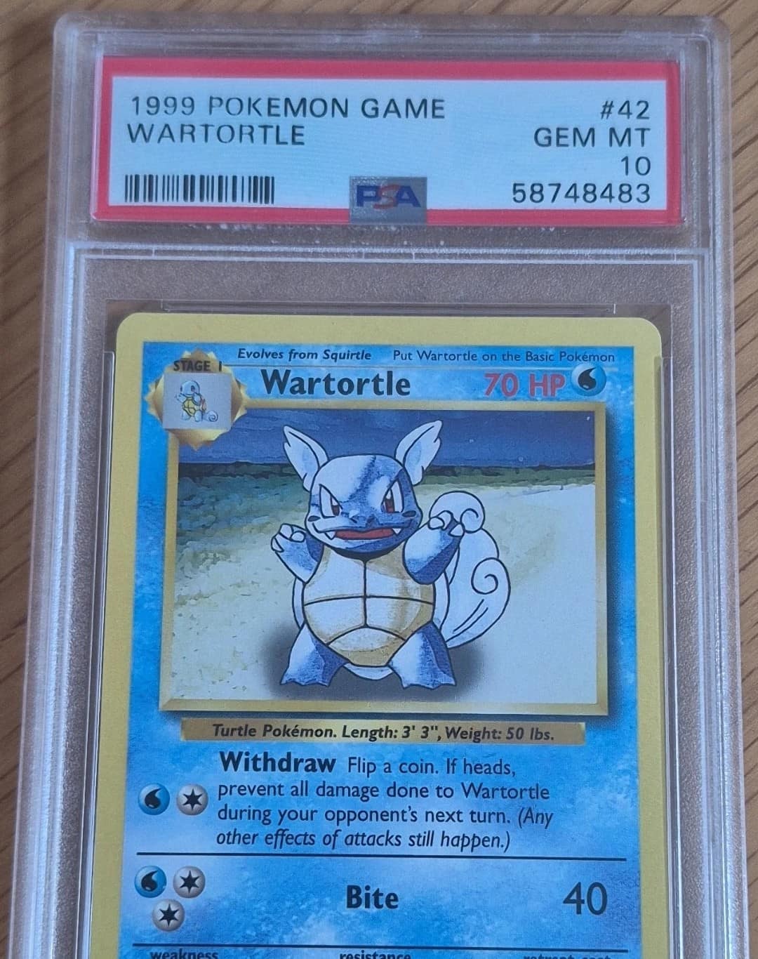 Wartortle