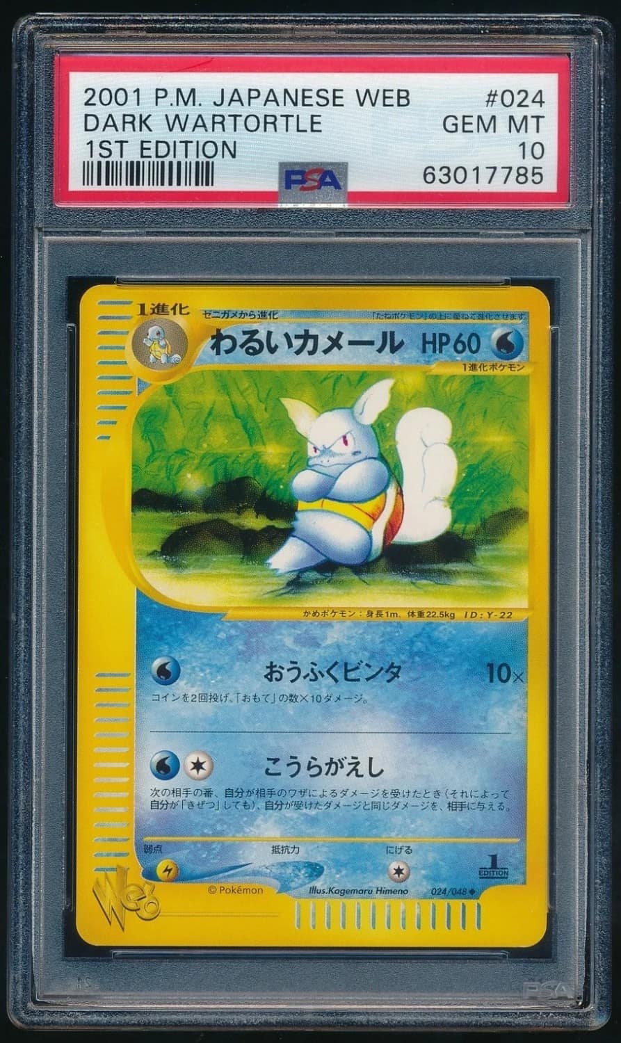 Dark Wartortle