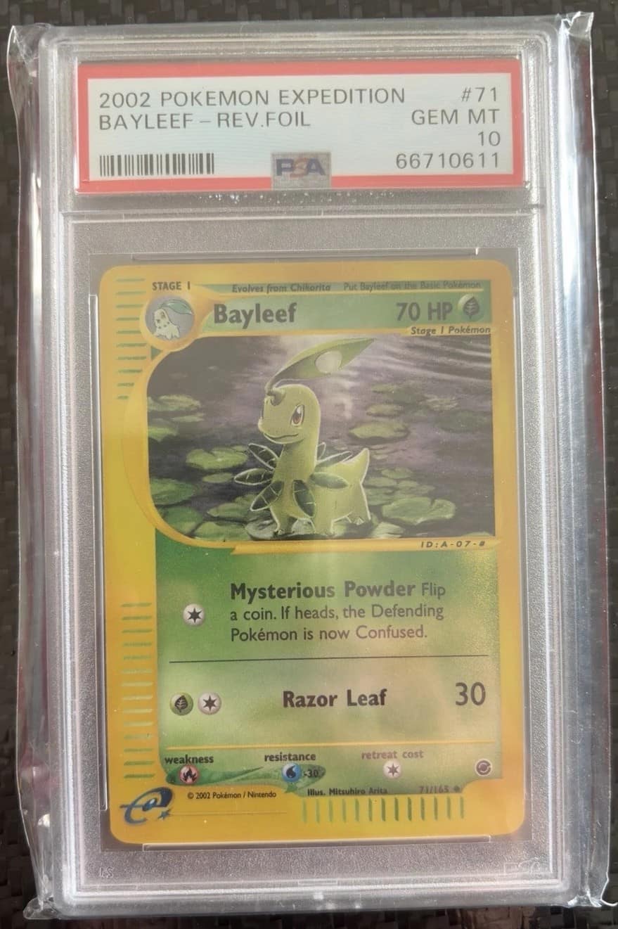 Bayleef
