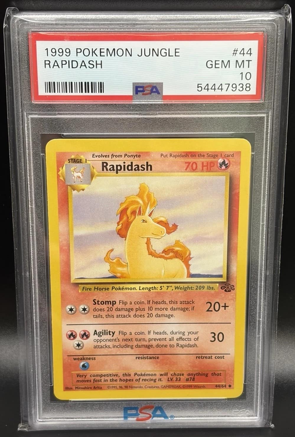 Rapidash