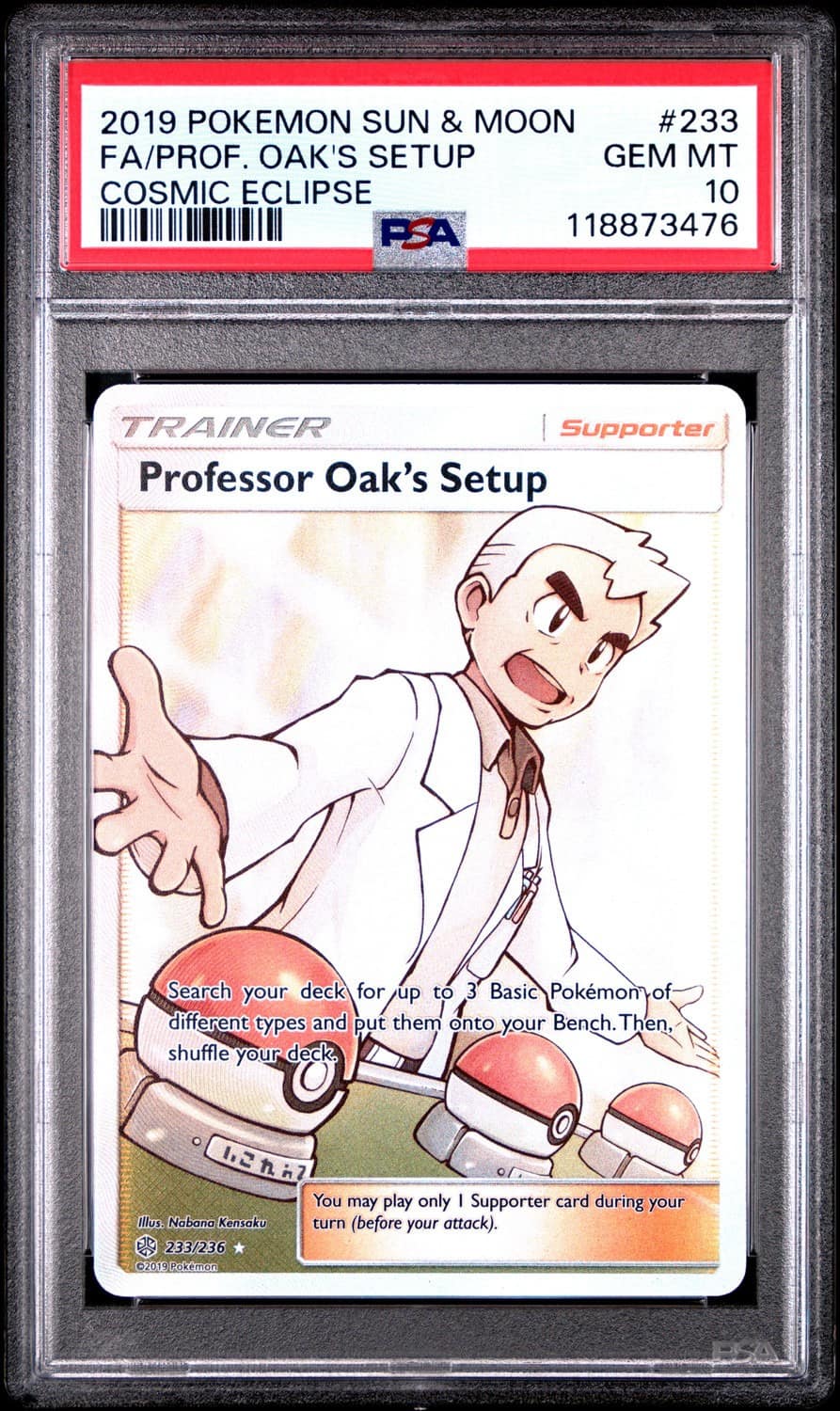 Professor Oak'S Setup