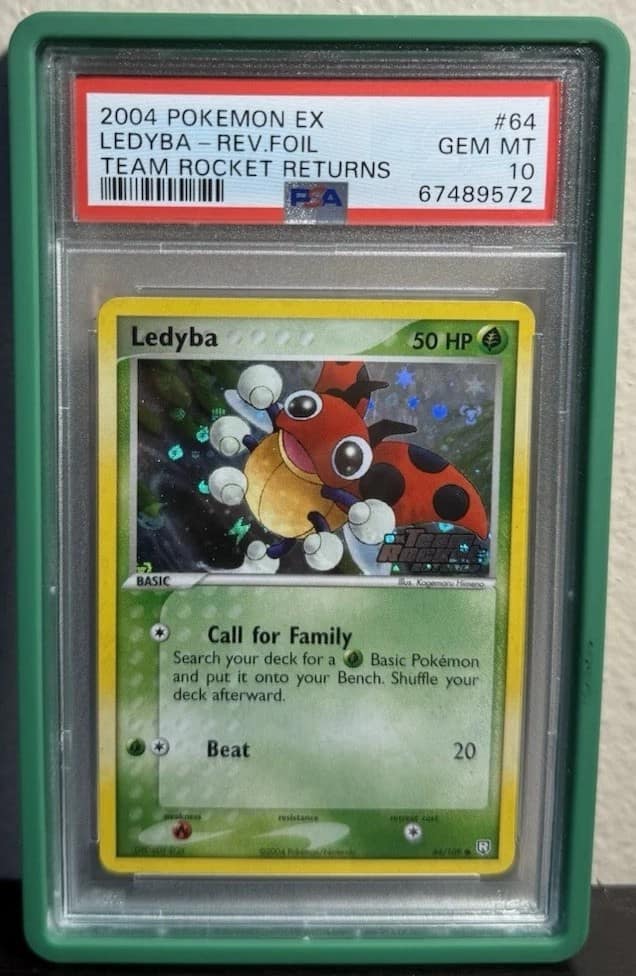 Ledyba