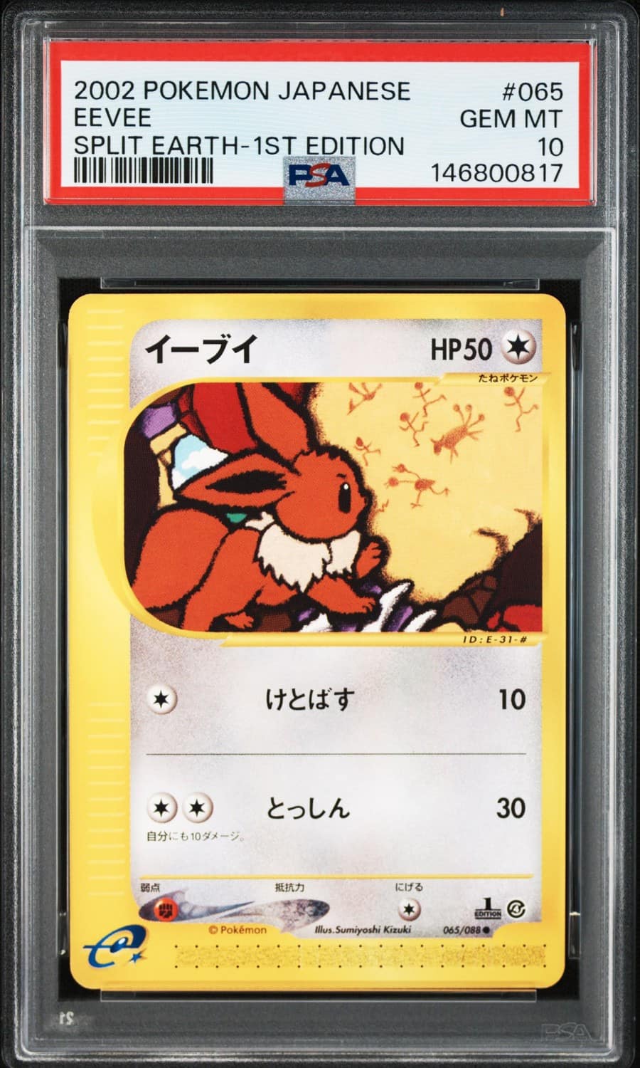 Eevee