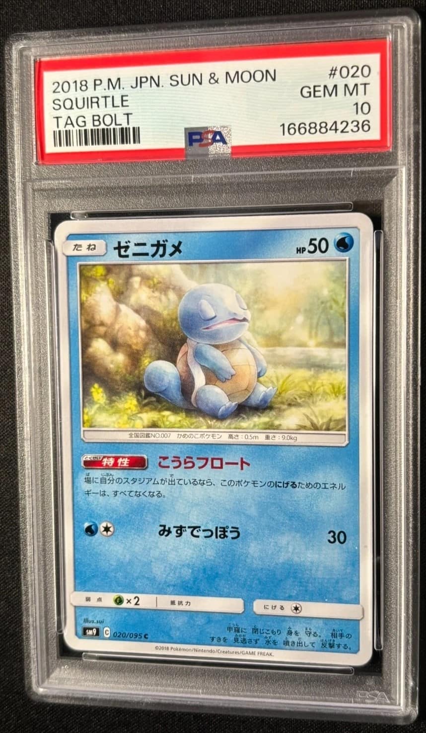 Squirtle