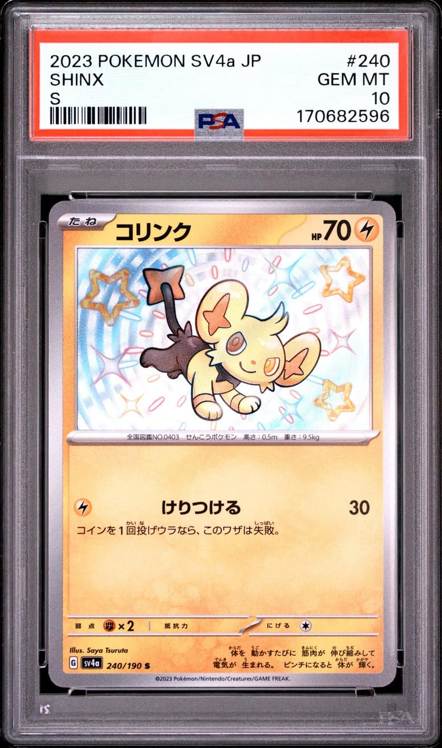 Shinx