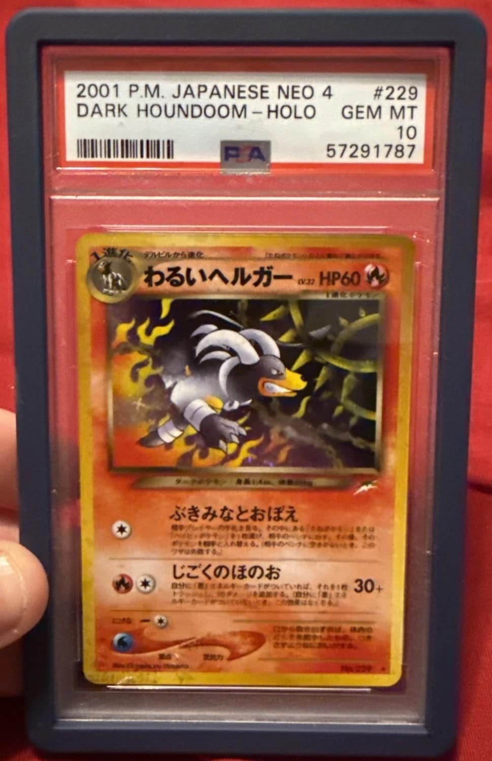 Dark Houndoom