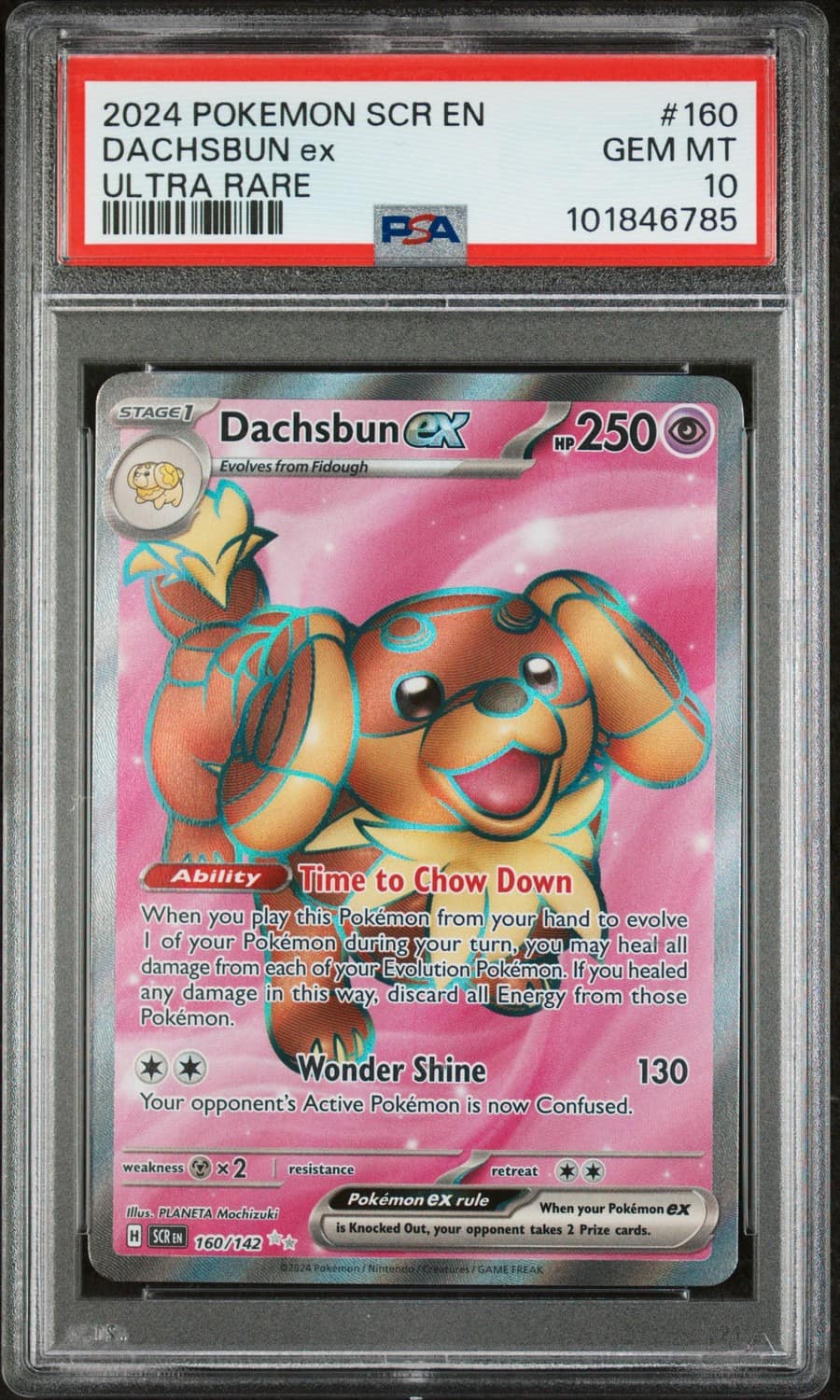 Dachsbun Ex