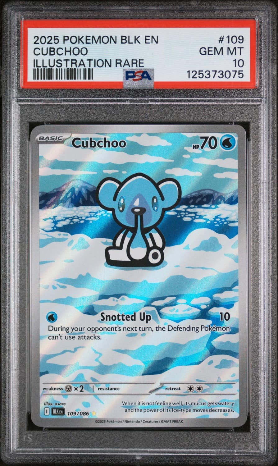 Cubchoo