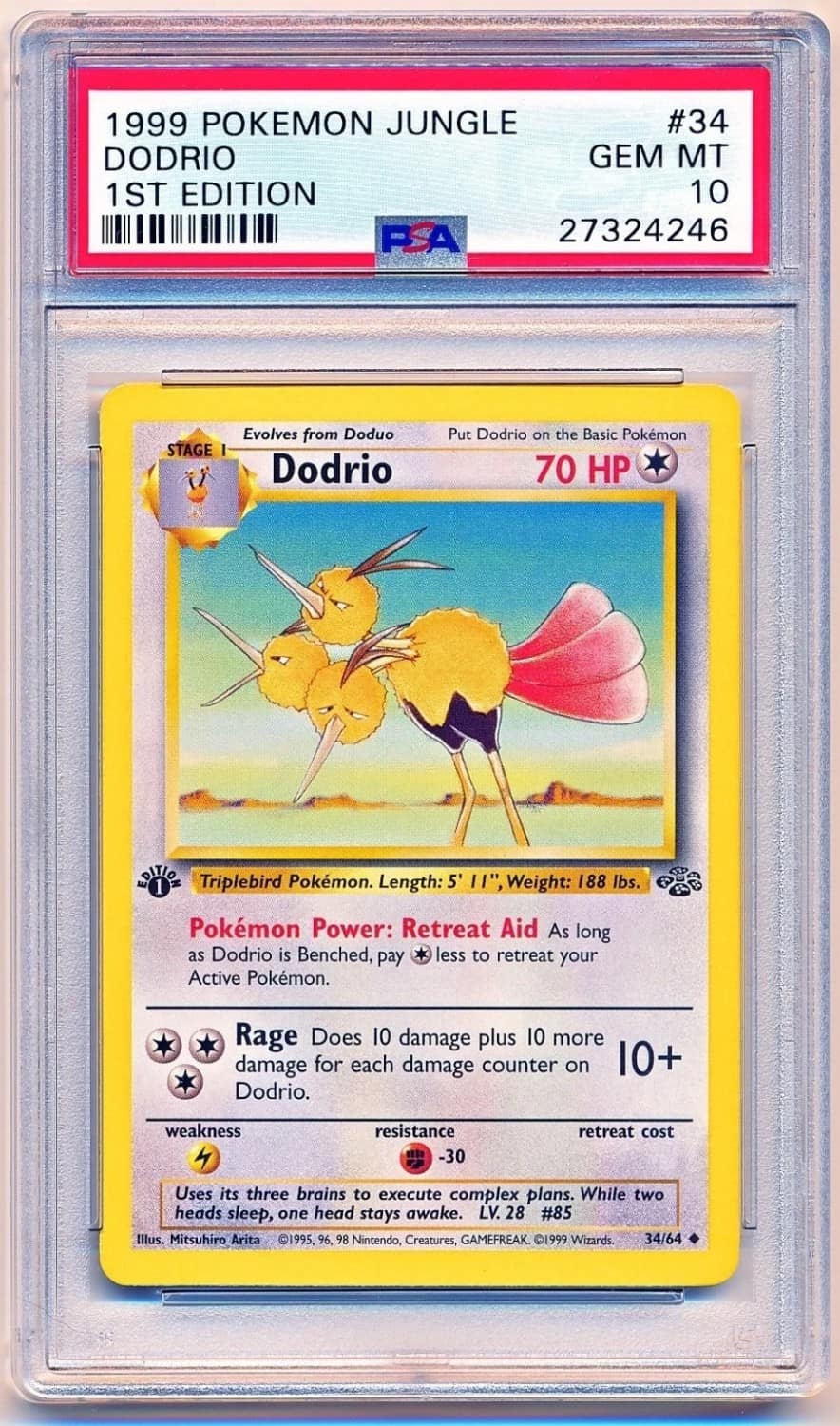 Dodrio