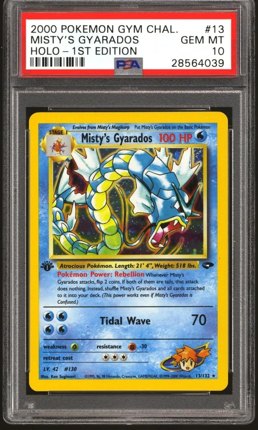Misty'S Gyarados