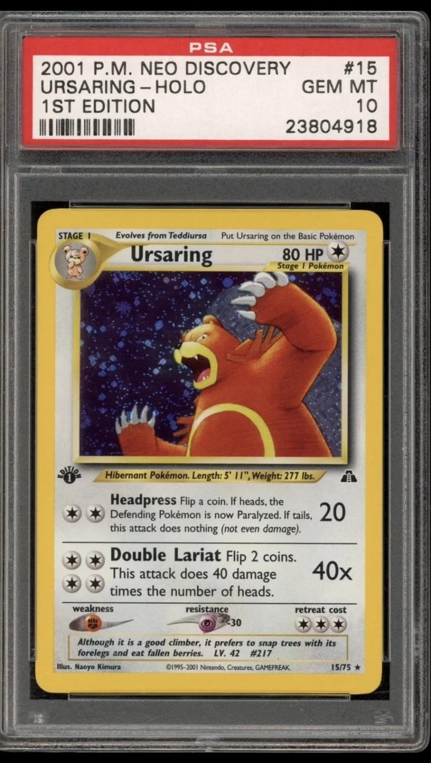 Ursaring
