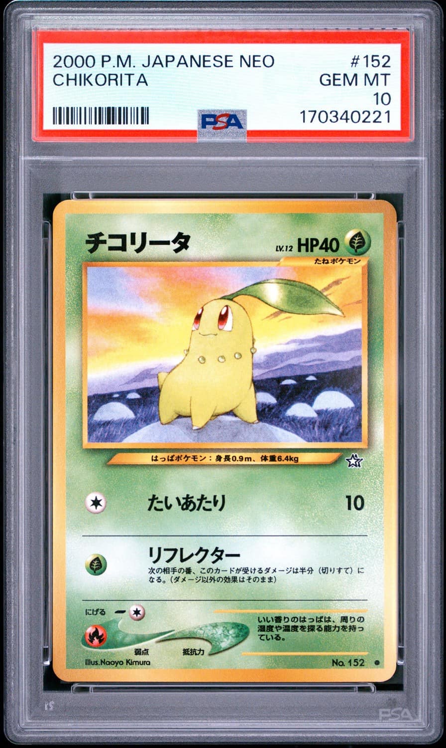 Chikorita