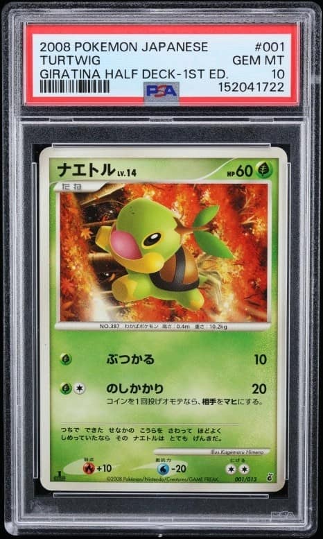 Turtwig