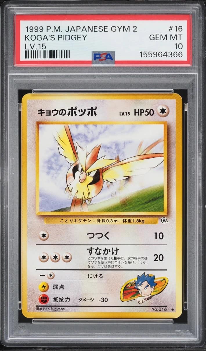 Koga'S Pidgey