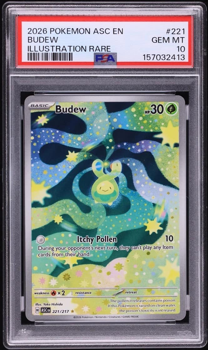 Budew