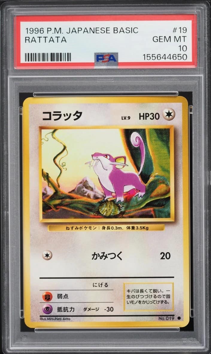 Rattata