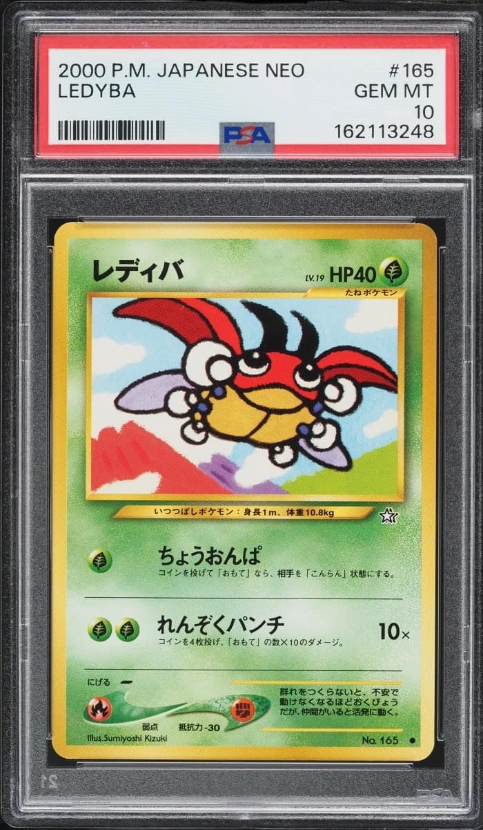 Ledyba