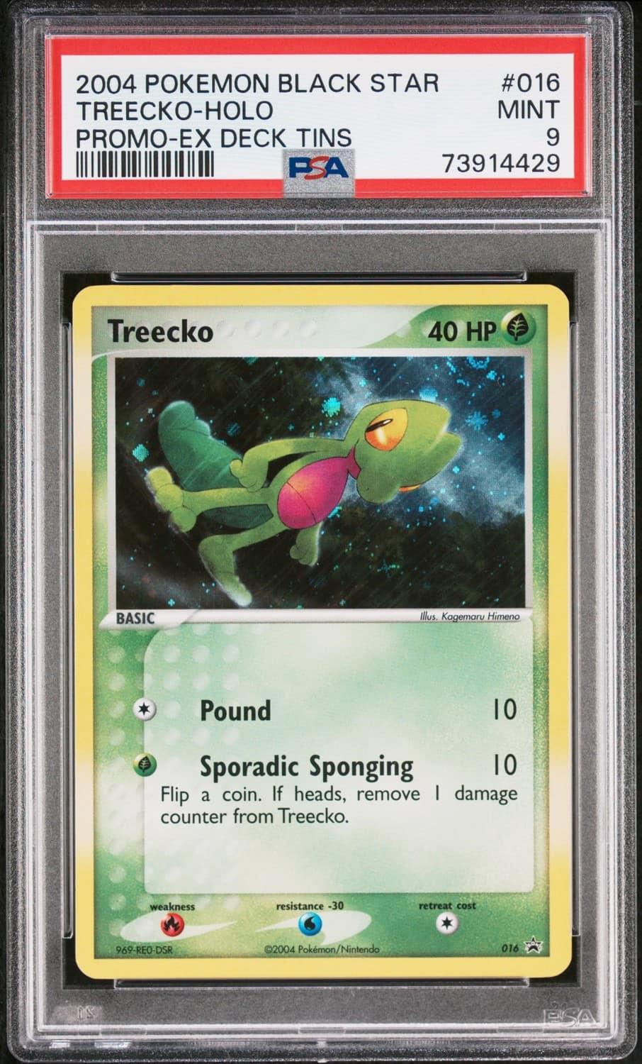 Treecko
