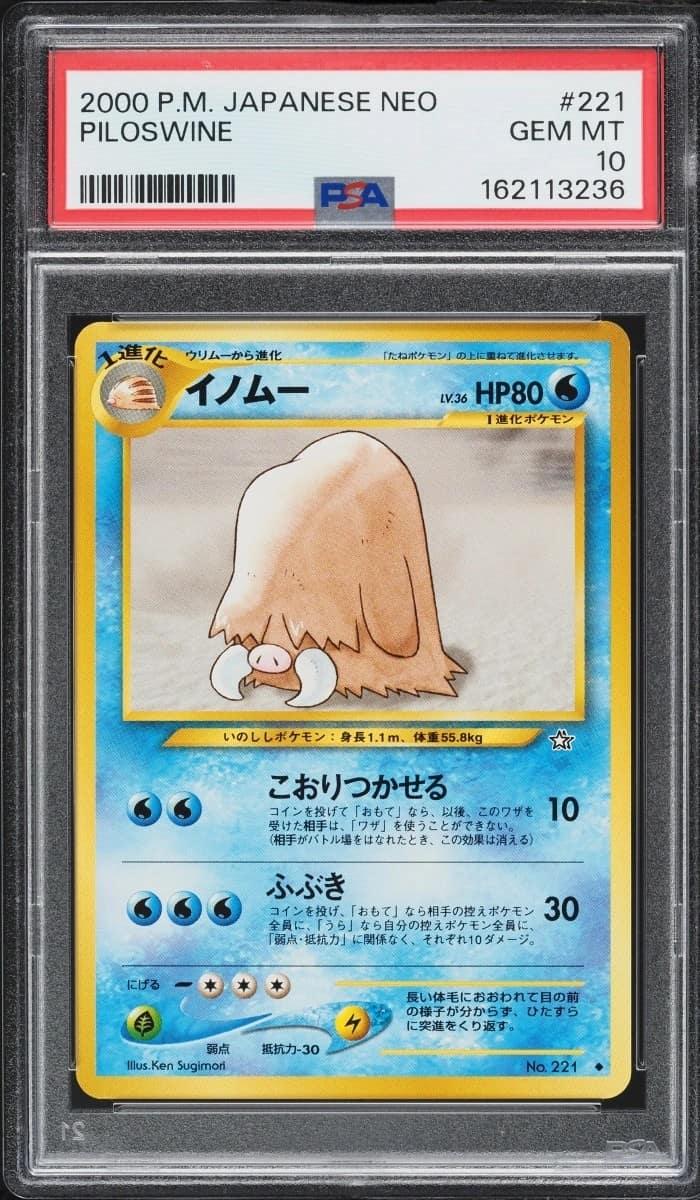 Piloswine
