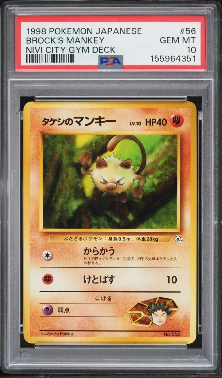 Brock'S Mankey