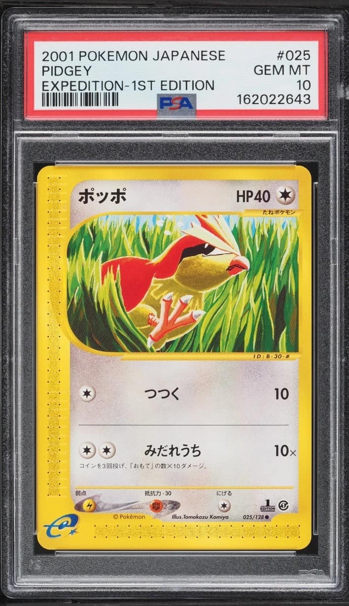 Pidgey