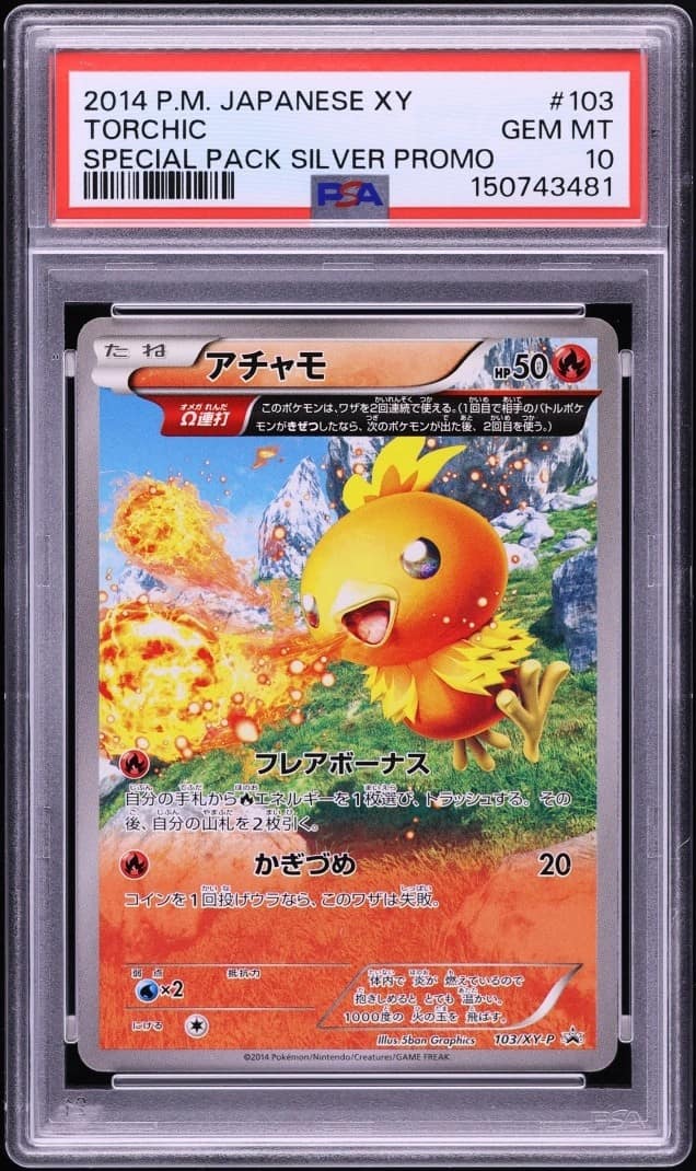 Torchic