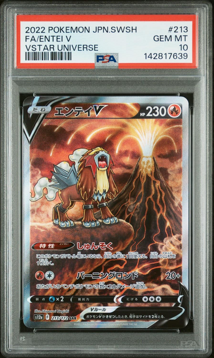 Entei V