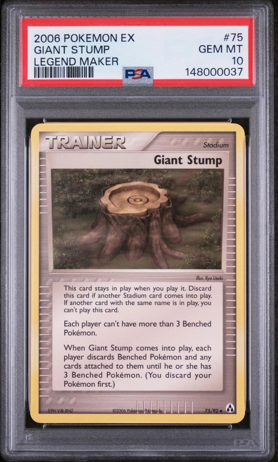 Giant Stump