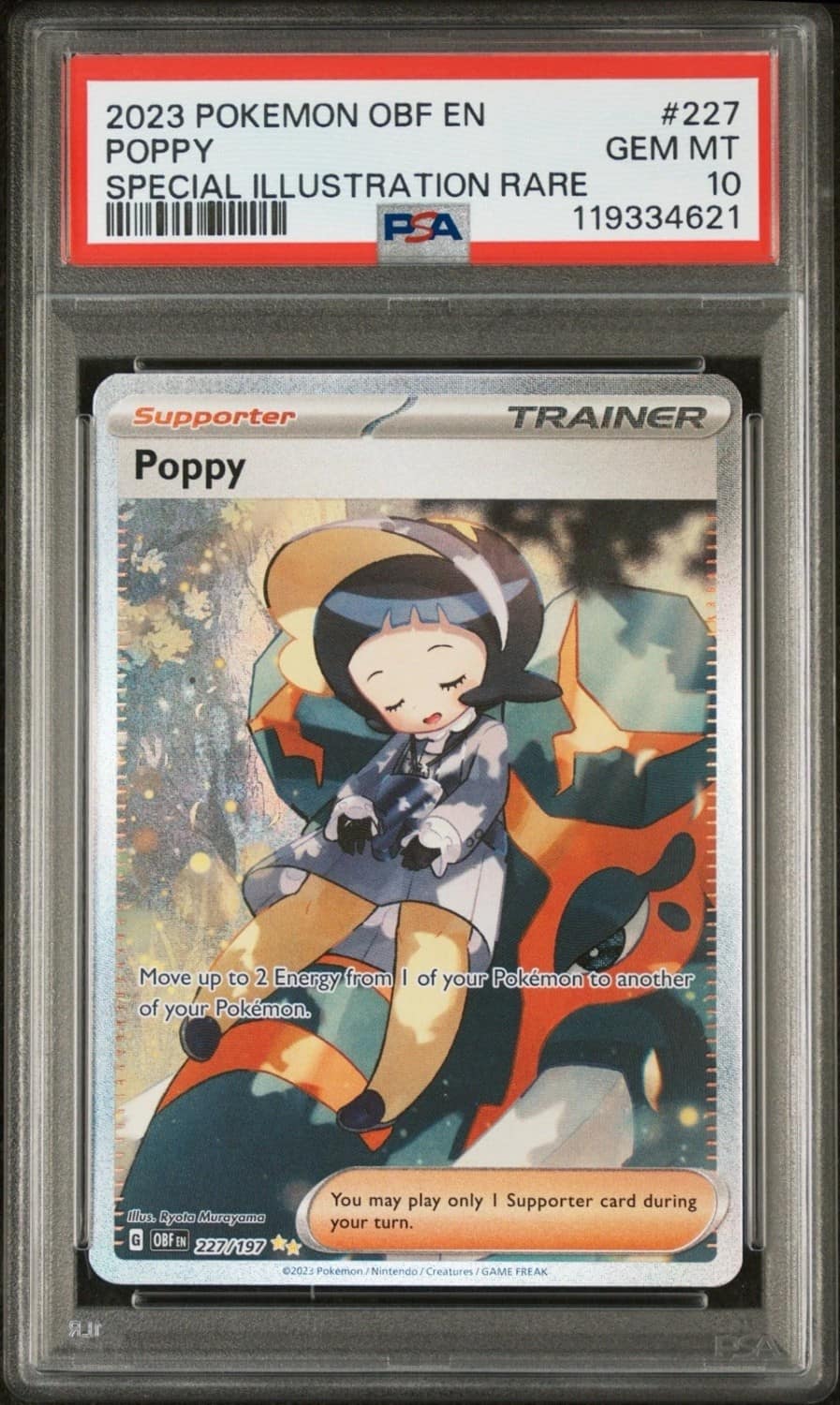 Poppy