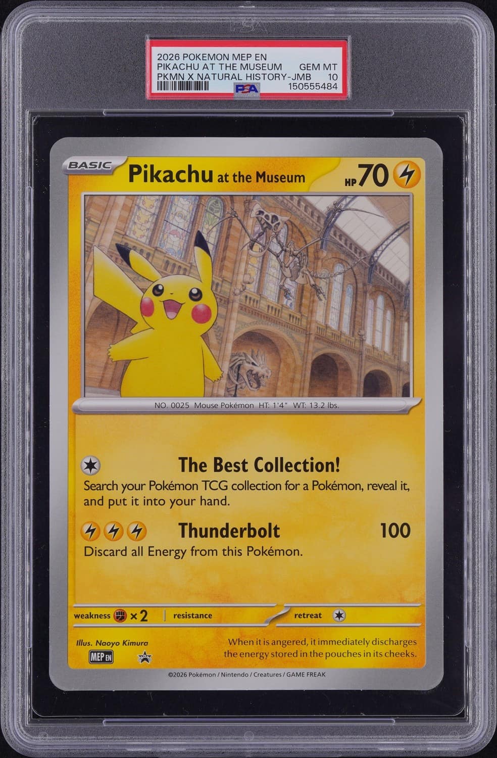 Pikachu At The Museum