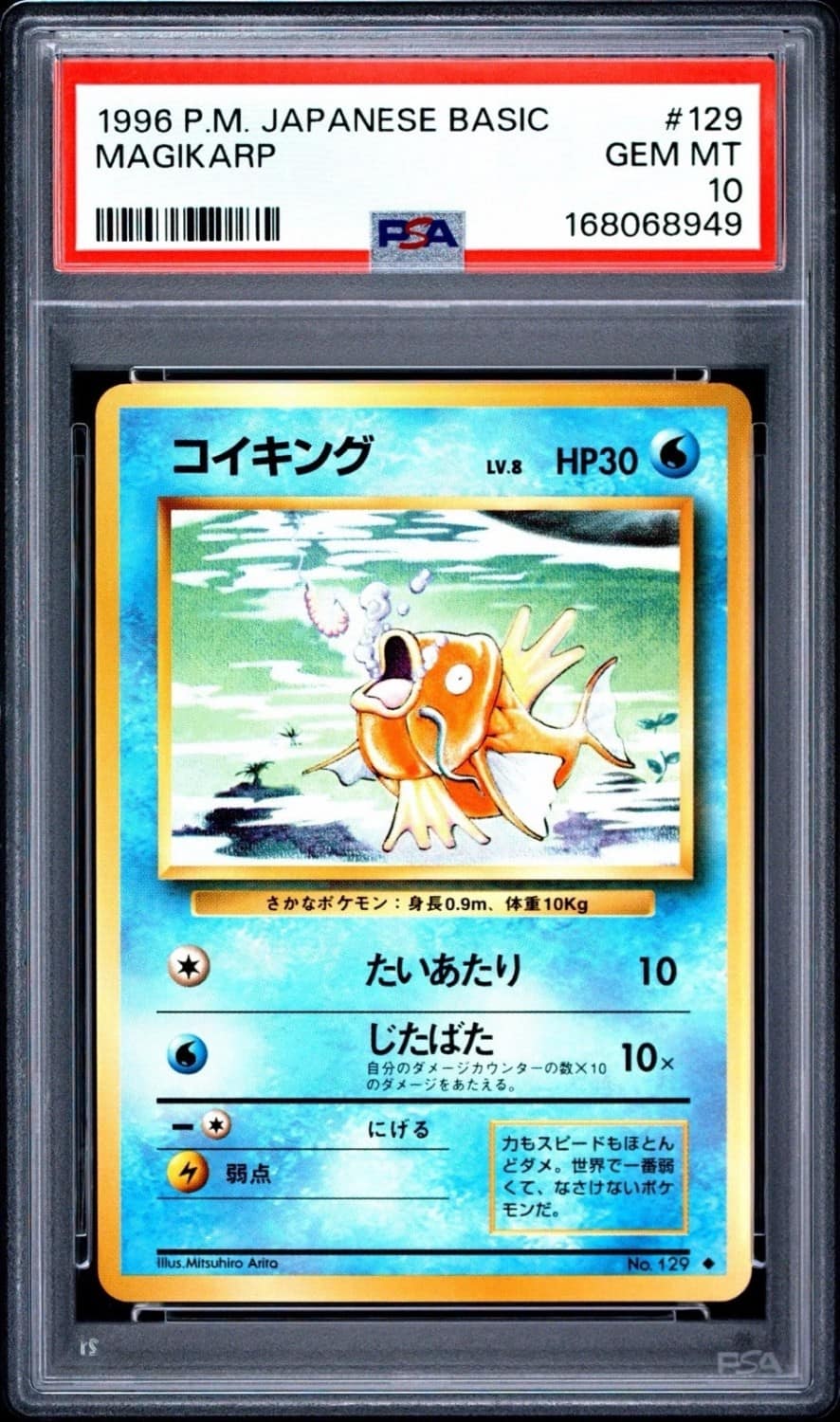 Magikarp
