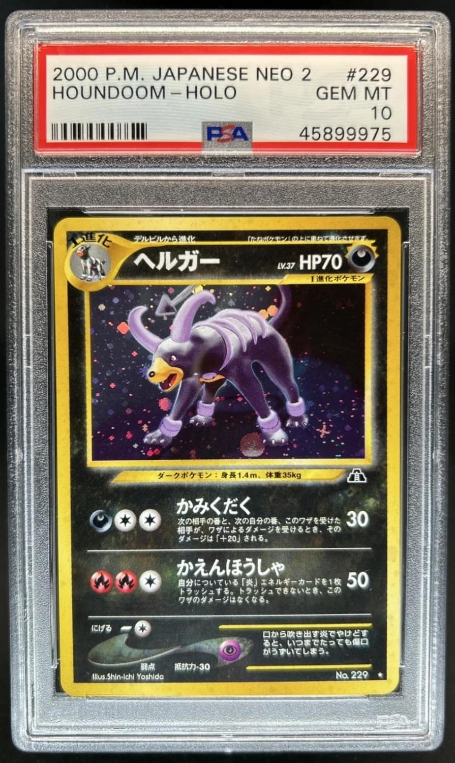 Houndoom