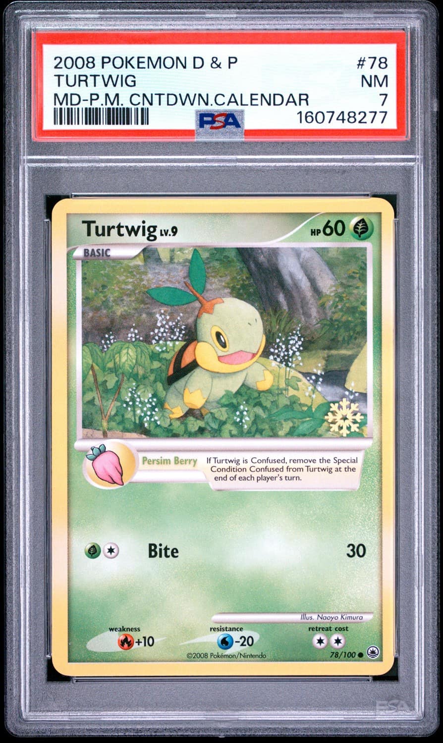 Turtwig