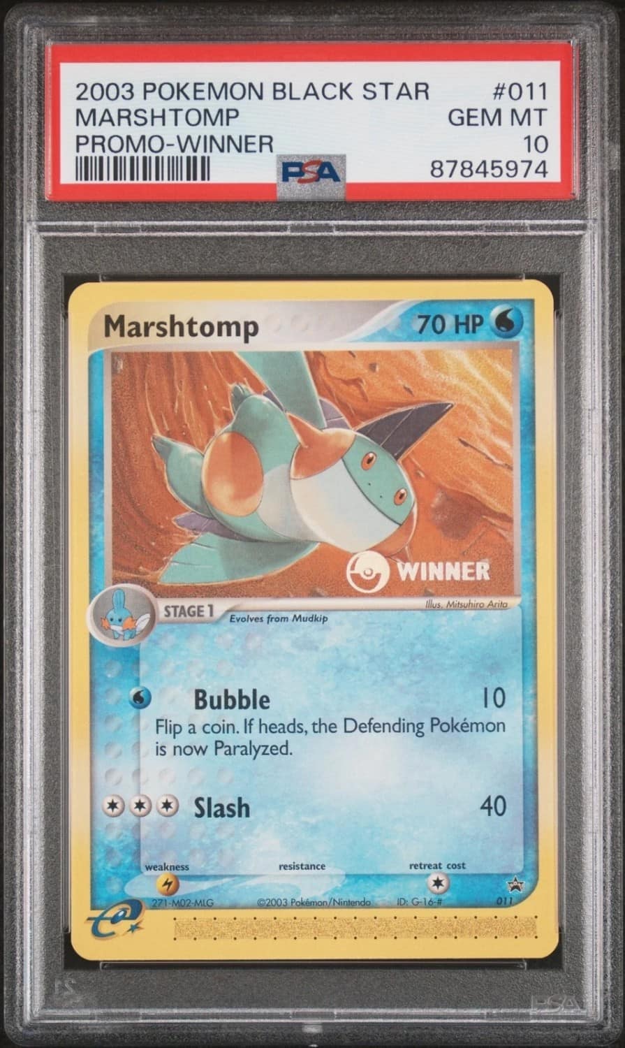 Marshtomp