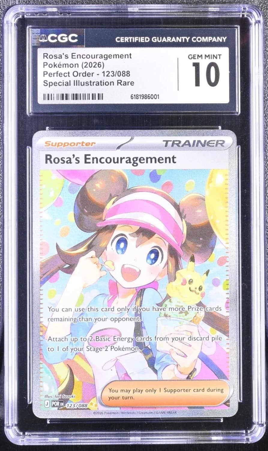 Rosa'S Encouragement