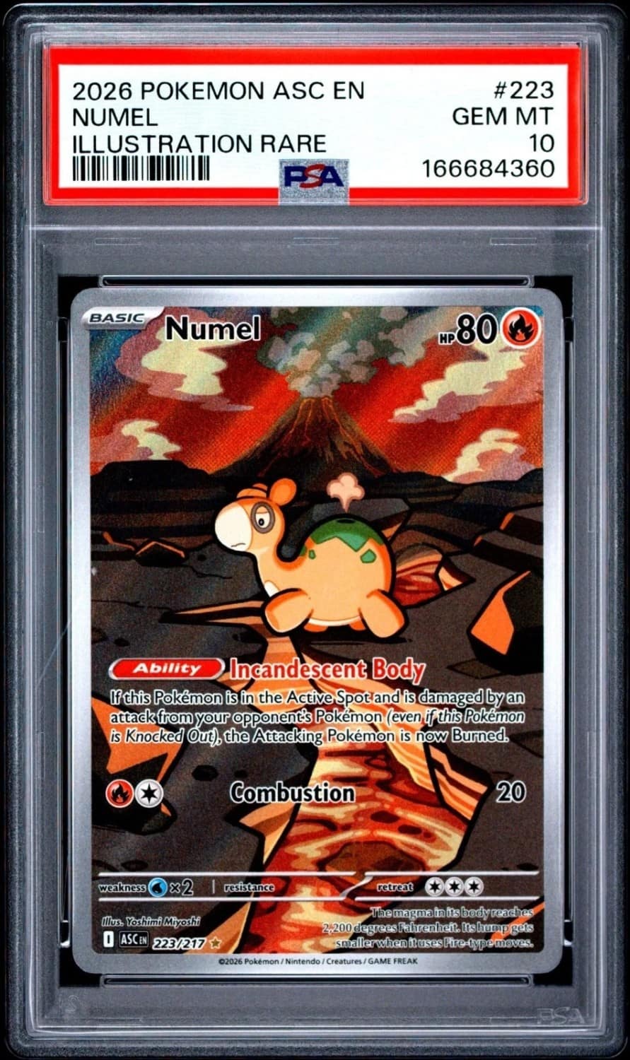 Numel