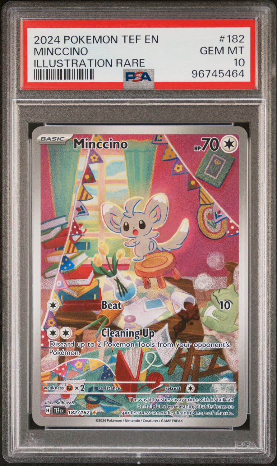 Minccino