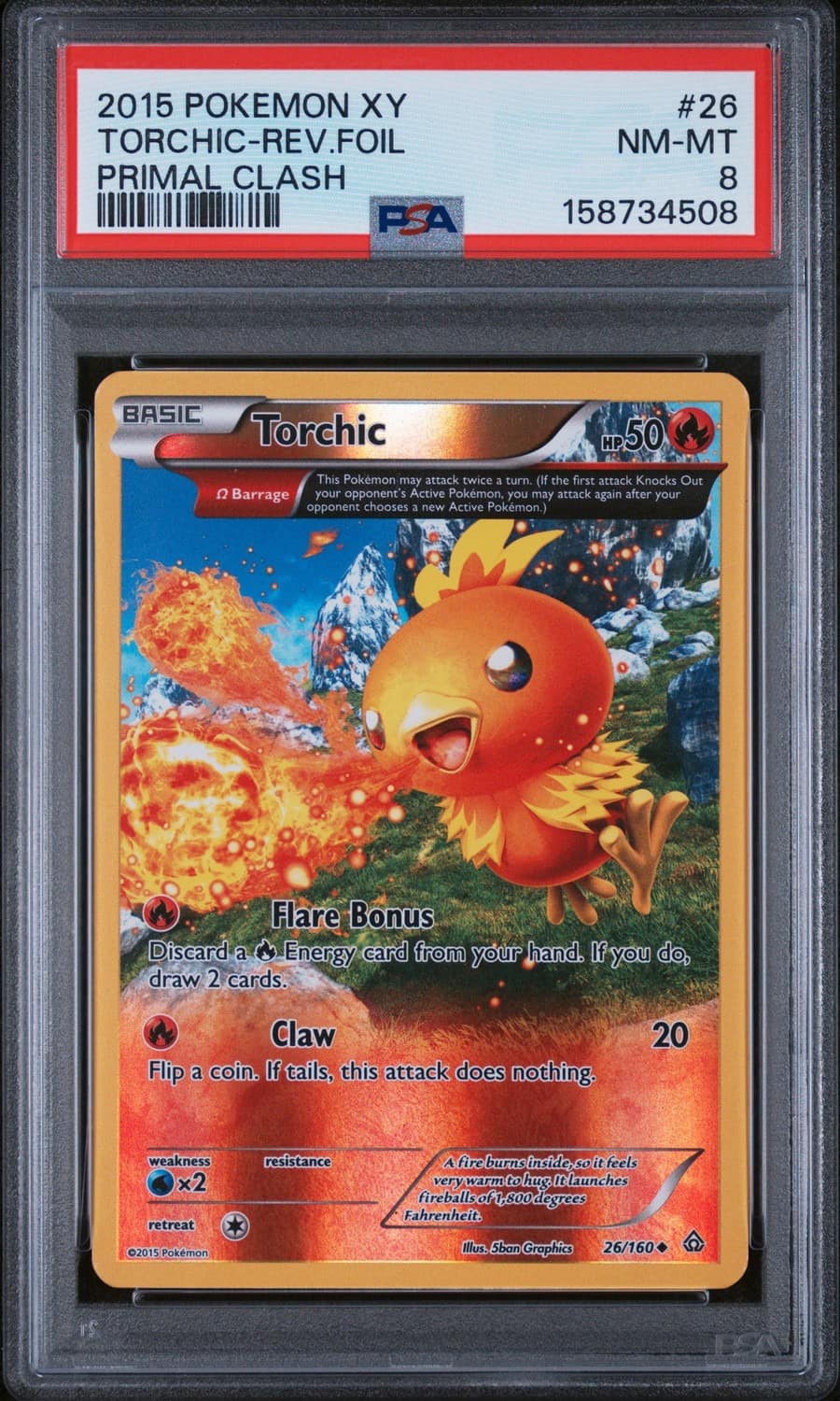 Torchic