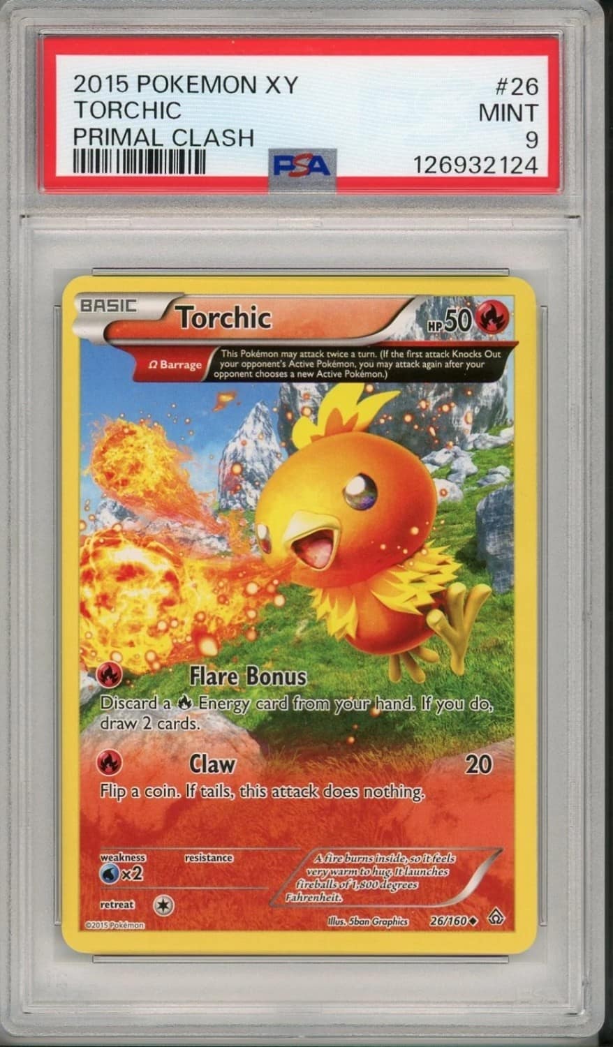 Torchic