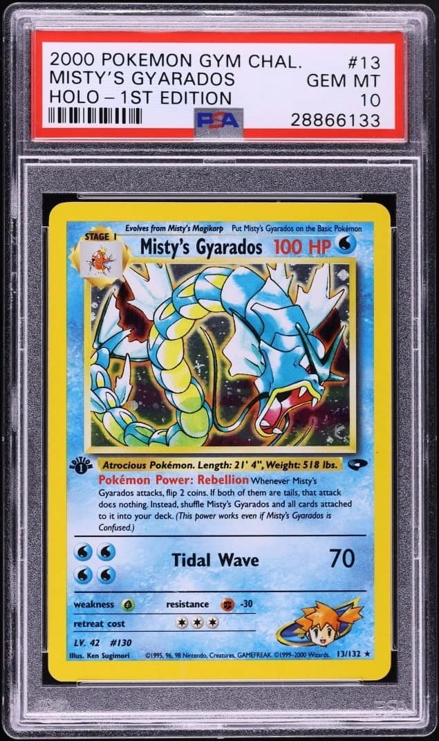 Misty'S Gyarados