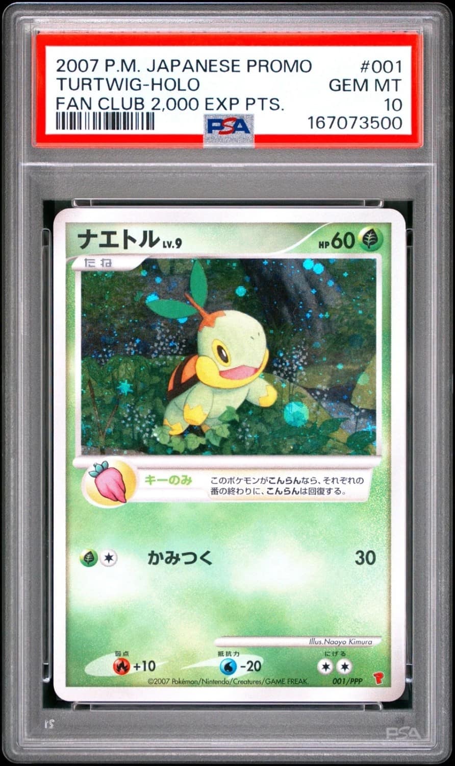 Turtwig