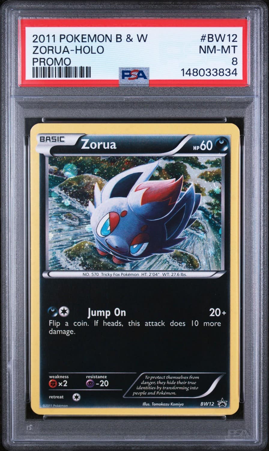 Zorua