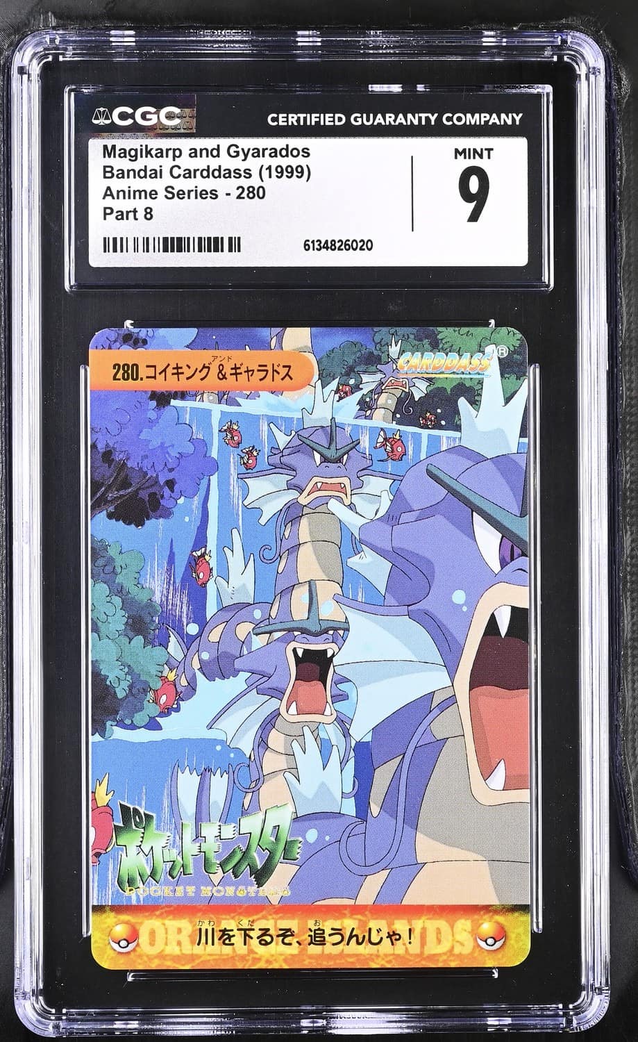 Magikarp And Gyarados