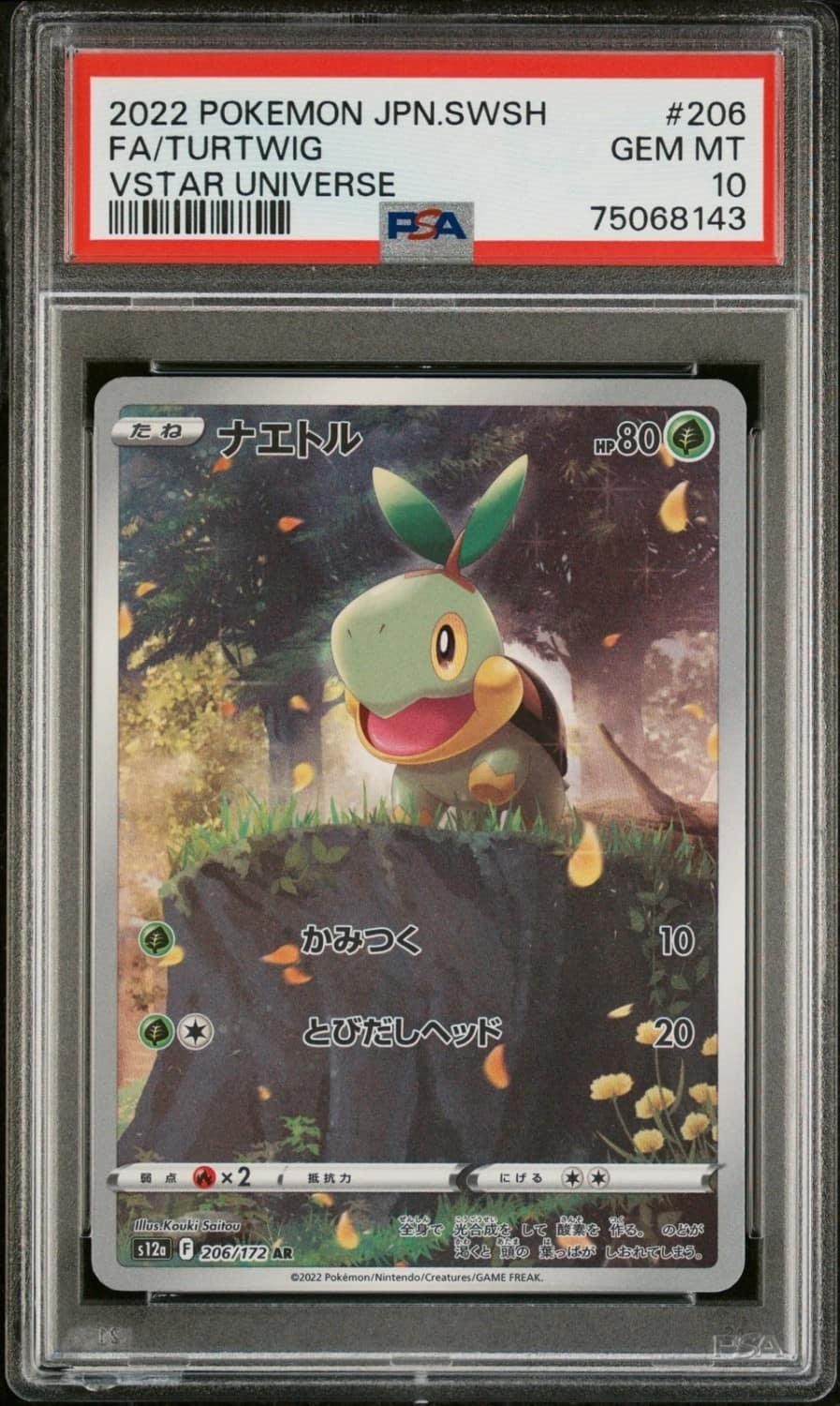 Turtwig