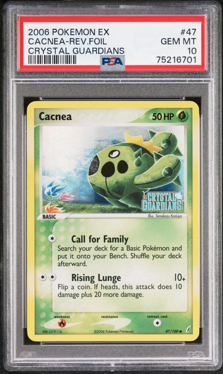 Cacnea
